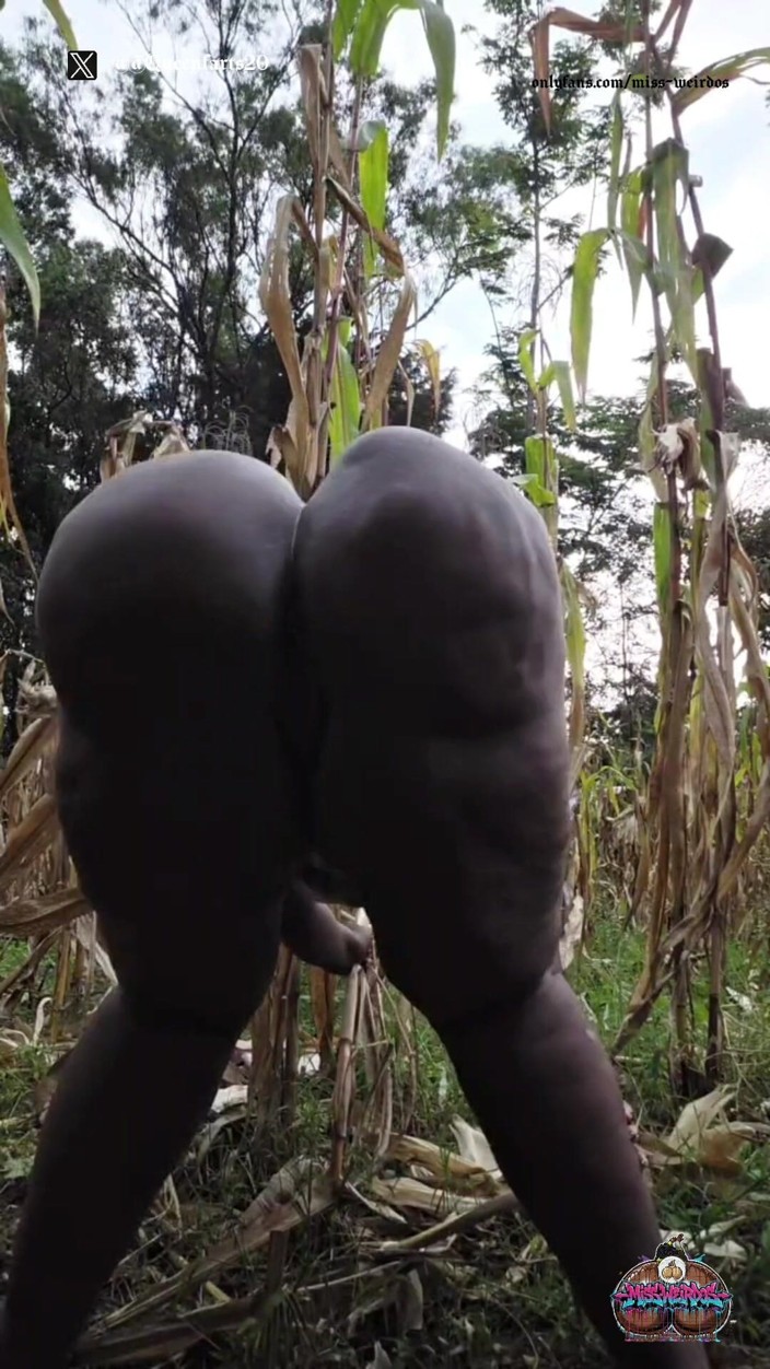 Miss weirdos: Shaking It Outside in the Village Maize Plantation