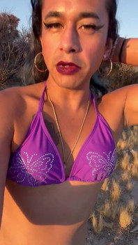TS Stripper di padang pasir