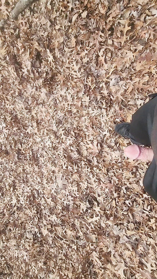 Djk31314: Turistika s mým ptákem vytaženým