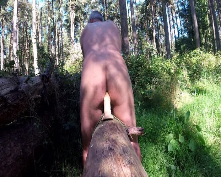 Andy: Jeździć na logu w lesie