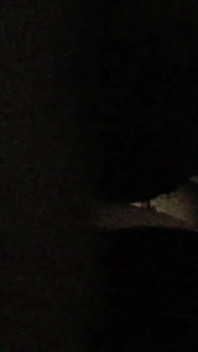 Áspero bbc foda anal
