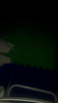 Kinkkire Shoots Big Load Onto White Chair