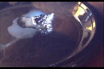 Random111zoig: Memoc 24