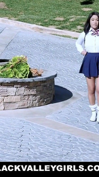 En sevdiğim küçük twerk yapan siyah tavşan