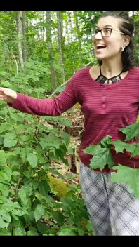 Când două femei explorează pădurea