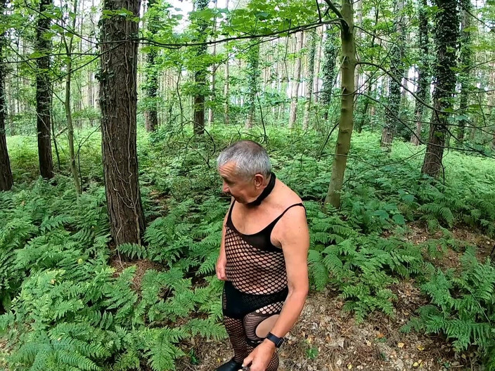 Andy: Yürüyüş 31 2025