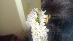 Laxi ammu: Hospodyňka saree show