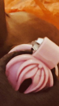 Ms300 Sarazia Exotic - นักเงี่ยนหีฉ่ำ Part 1
