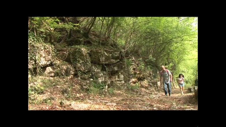 FM Video VOD: Il Pazzo di Sorrento - （原版完整电影未剪辑）