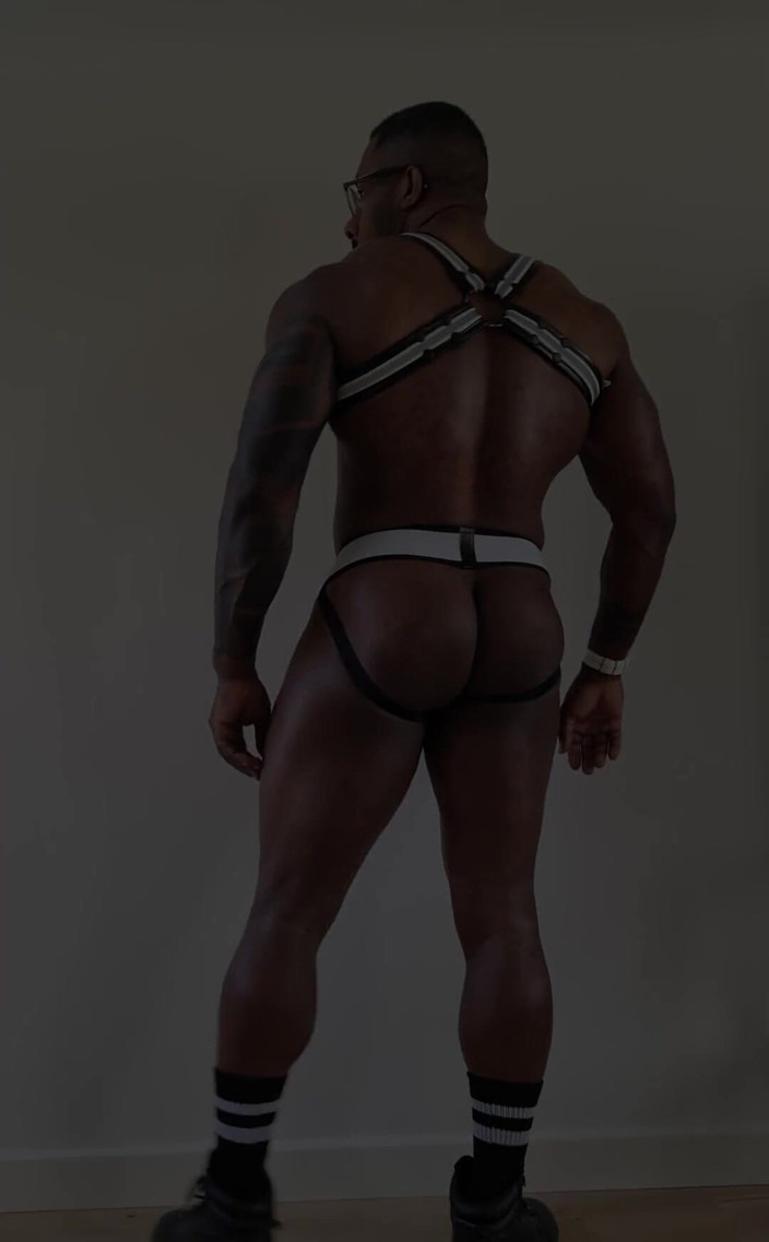 Amadeus: I Like This Harness so Much, Just Need a Party...