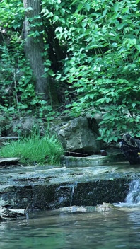 Fléchir près de la cascade, essayer de se faufiler un petit moment privé...