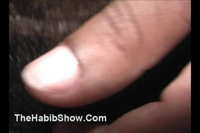 The Habib Show: 질싸 괭이 풀영화