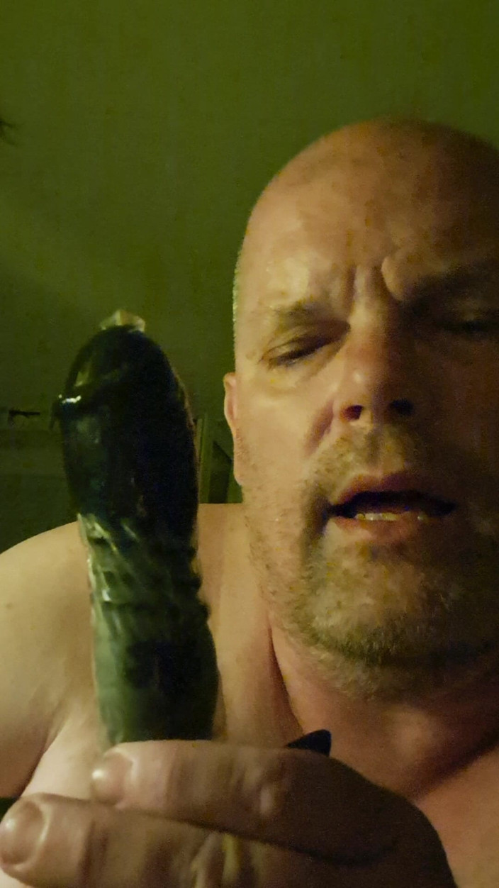 Fickspecht: Freshly Plugged the Slut