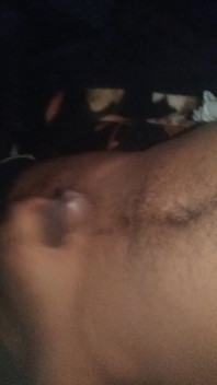 Video_20250203_010341.