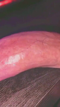 Famous Monster Cock Streamer Forgot His Webcam on