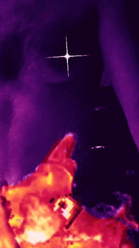 Burning for Your Cock