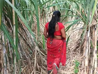 Üvey annem sugarcane çiftçiliği