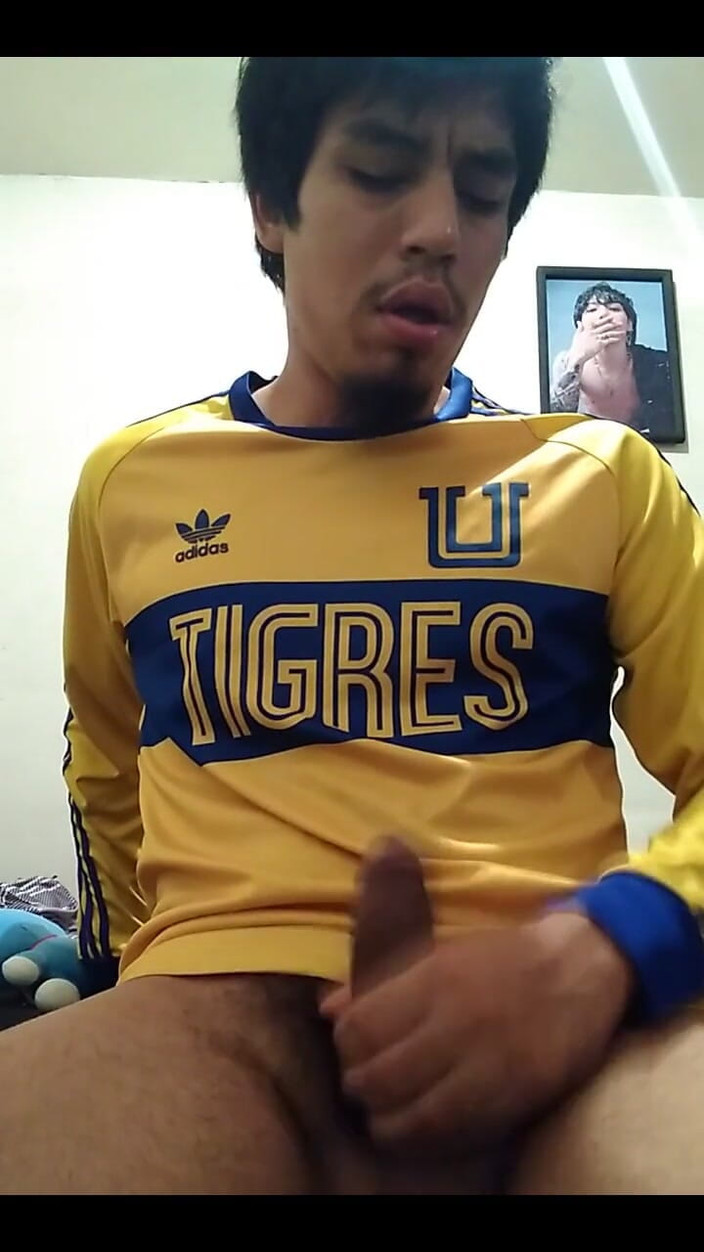 AlexAlejandro13: Tigres, vrátím se bohatý.