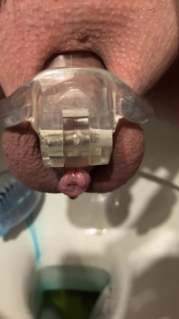 Pissing Chastity Cage