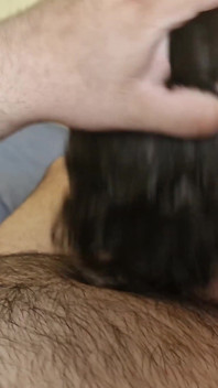Los osos peludos se chupan las pollas hasta que se corren