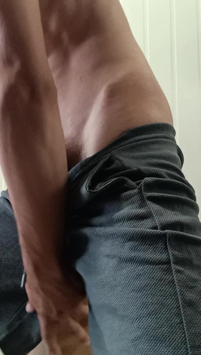 Wild Alpha (Wild_alpha)
