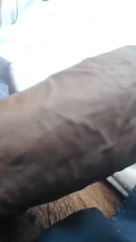 Budete mít skvělé šukání s mým velkým ptákem