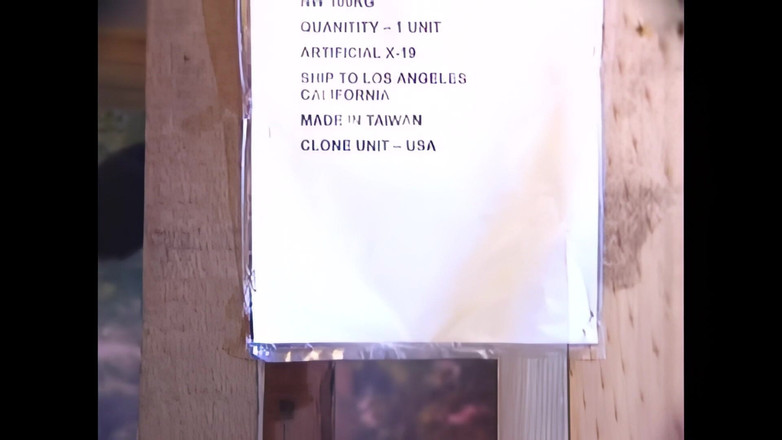 Bewitched!: Karya seni pirang yang indah kacau keras oleh penis besar...