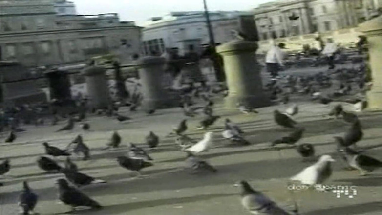 British Blue Movies: Büyük Omar'ın İngiliz maceraları: anal egzersiz (2001)