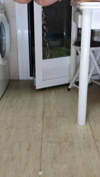 Stepmommy Pisses Where She Wants 4K