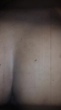 Návrat zadku don-key