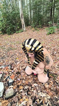 หีแดงในกองใบไม้กำลังทำอะไร? คุกเข่าอยู่เหรอ?