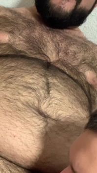 Oso Dominante