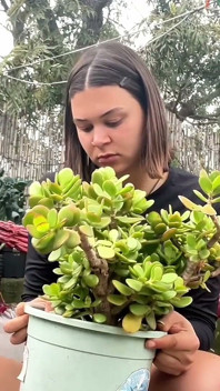 Ao ar livre, mijo na planta, strip e agachamento no jardim