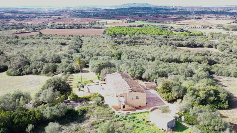 German porn friends: Horny Sluts Fuck Better on Vacation_4k