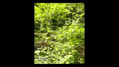 Suzy Wylde: 0 cewek kelaiman suzy wylde memohon memeknya untuk dicambuk