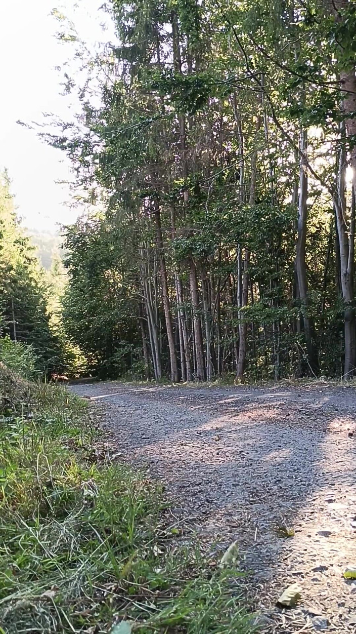 kickerscooter: Scooter binicisi açık havada mastürbasyon