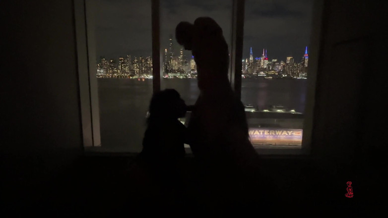 LaBellaDX: King Noire siluetas en S&amp;m W / Sunny Bunny &amp; Labelladiablax