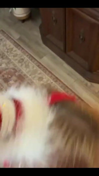 Stepmoms Holiday Helper