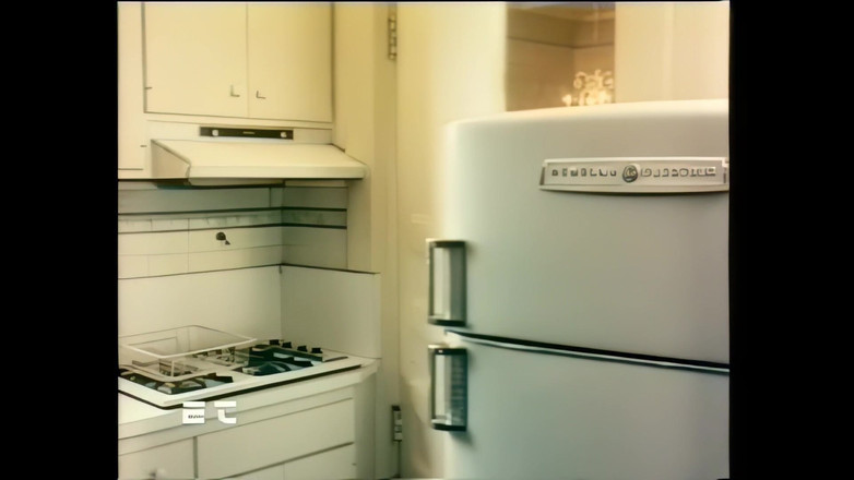 Vintage Megastore Full hd: The Waiter Pelanggan seksi