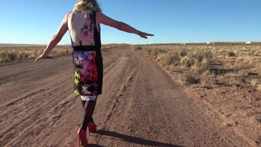 Mrs Samantha Dances to the Eagles Song Hotel California, in the Desert Near Winslow Arizona (Mrs Samantha)