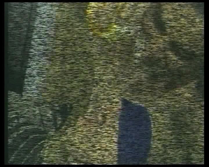 Under German Roofs: Немецкие шлюшки, которые обожают, когда их трахает длинный жесткий член No13