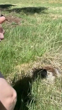 Цей сарай буде ідеальним для майбутніх відео всіх видів!