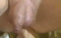 同性恋爸爸熊享受骑在我的脚上。
