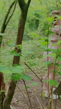 Creampied on No Contraception by a Stranger in the Woods