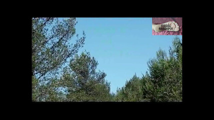 Casal Gresopio Female: Giro nella foresta 5