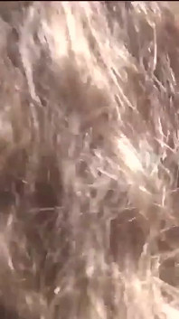 Sandra ile gerçek amatör esmer saçlı İtalyan olgun sürtük amını siktiriyor ve ağzını meşgul istiyor