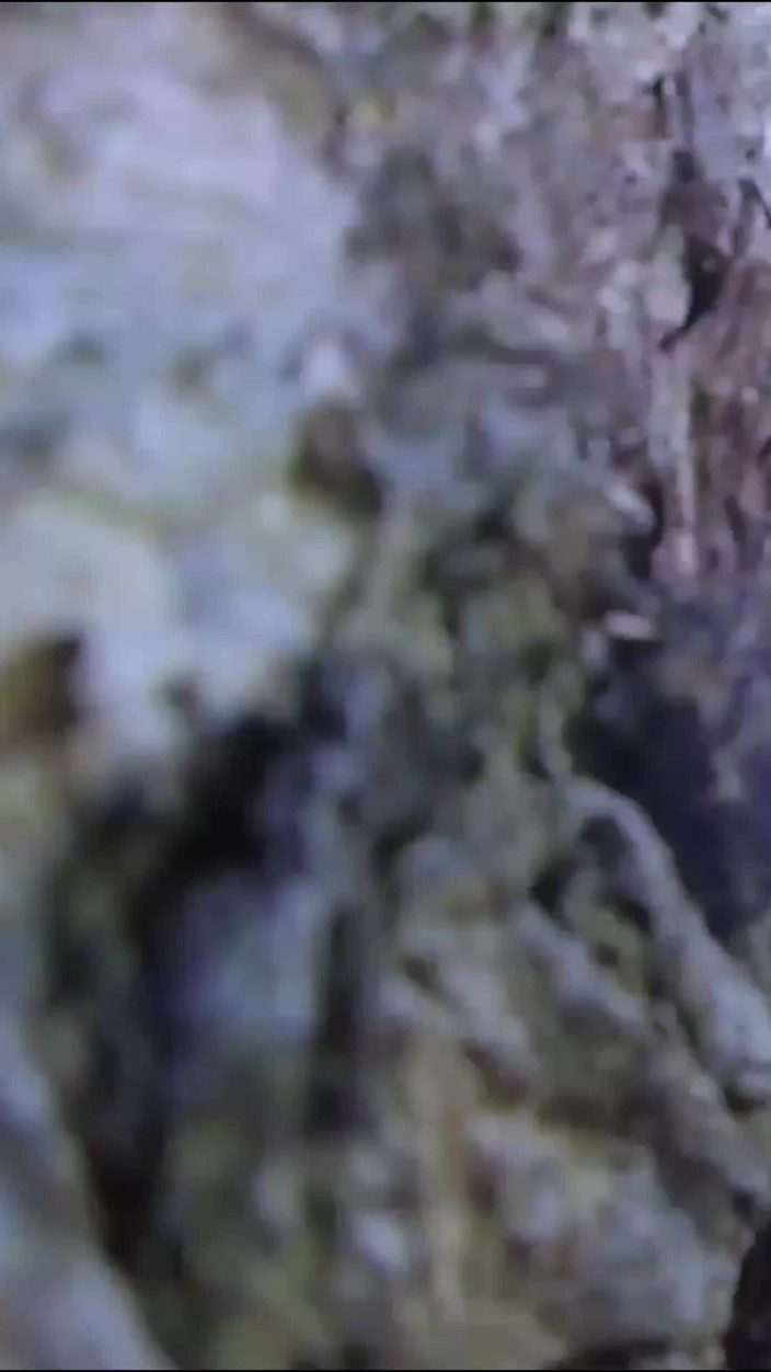 Super Hot Films: Memek Sempit Layla Perez Dientot Habis-habisan Sama Cowok Berondong