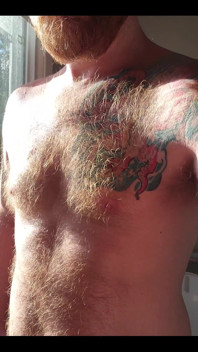 The Morning Sunlight