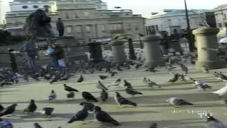 British Blue Movies: Big Omar's British Adventures: Anal Workout (2001)