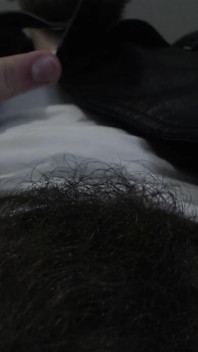 Alpha Superiority Pubic Hair